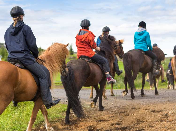 Group of horseback riders ride  in Iceland; Shutterstock ID 374135479; Invoice Number: -