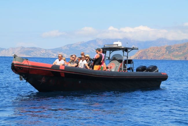 RIB Adventure to Calanques de Piana