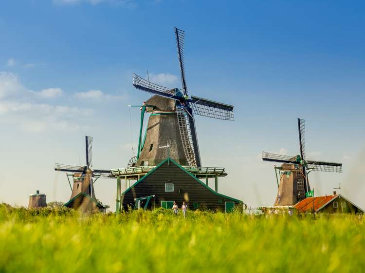 Museum windmills along the Zaan river. The Zaanse Schans is an area with historic significance, providing home to museums, windmills and actively inhabited traditional houses from the 17th century. The area is freely accessible, and requires no entrance ticket. Featured windmills are De Zoeker, De Kat, De Gekroonde Poelenburg.