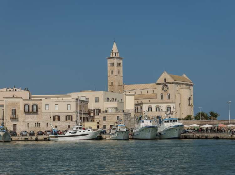 View of the Cathedral