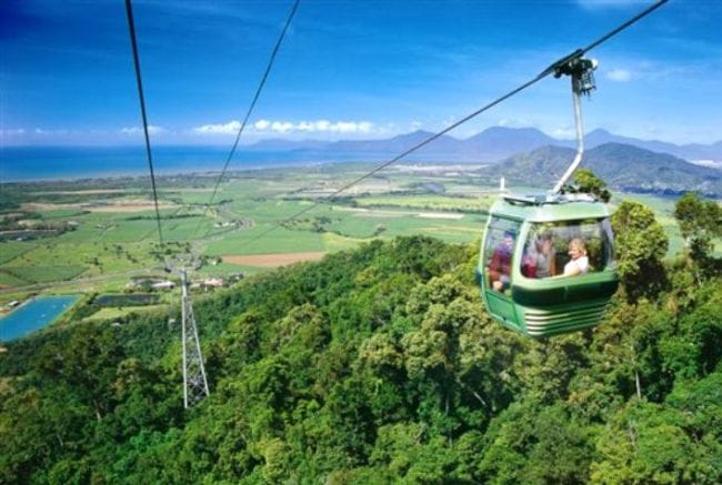 Rainforest Skyrail and Butterflies