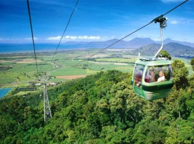 Rainforest Skyrail and Butterflies