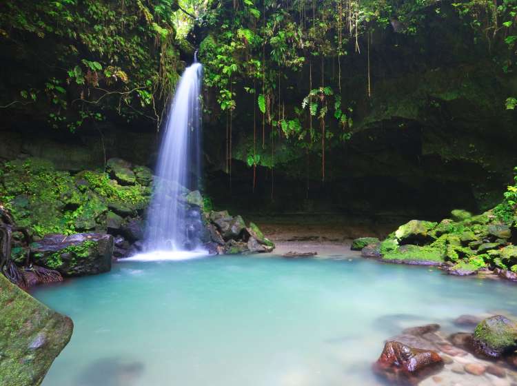 Emerald pool on the island of dominica in the Caribbean deep in the rainforest