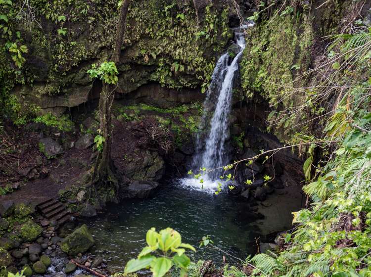 Best of Dominica