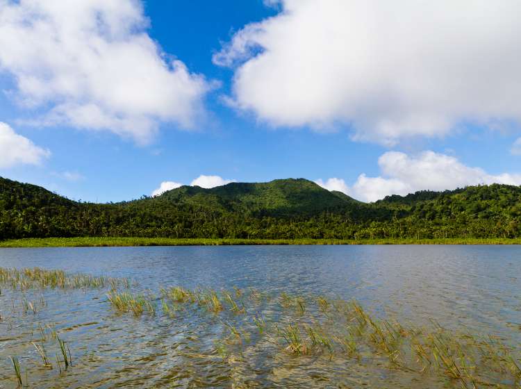 "Grand Etang Lake is an extinct volcano of approximately 20 feet deep, located at the center of Grenada at 1,800 feet (550 m) above sea level. It is in the middle of the Grand Etang National Park, a very popular area in Grenada, for hiking and trekking but not only. The rain forest around the lake includes several waterfalls, hot springs, plantations and a series of trails among breathtaking sceneries. Grenada W.I."