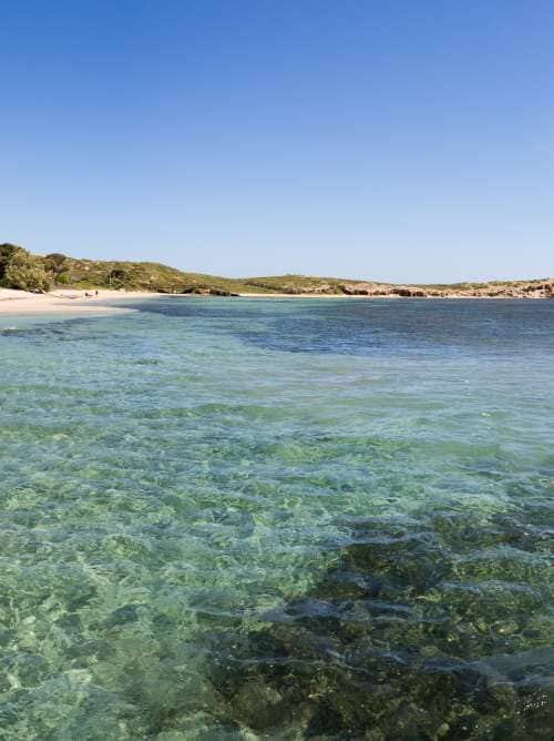 Penguin Island Conservation Park, Western Australia; Shutterstock ID 1058757755; Invoice Number: -