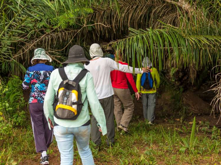 Group exploring a jungle in Pantanal, Brazil; Shutterstock ID 664090891; Invoice Number: -