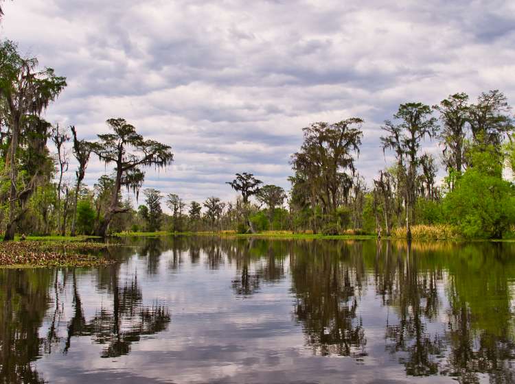 Dramatic skies and crisp reflections in a Louisiana bayou.