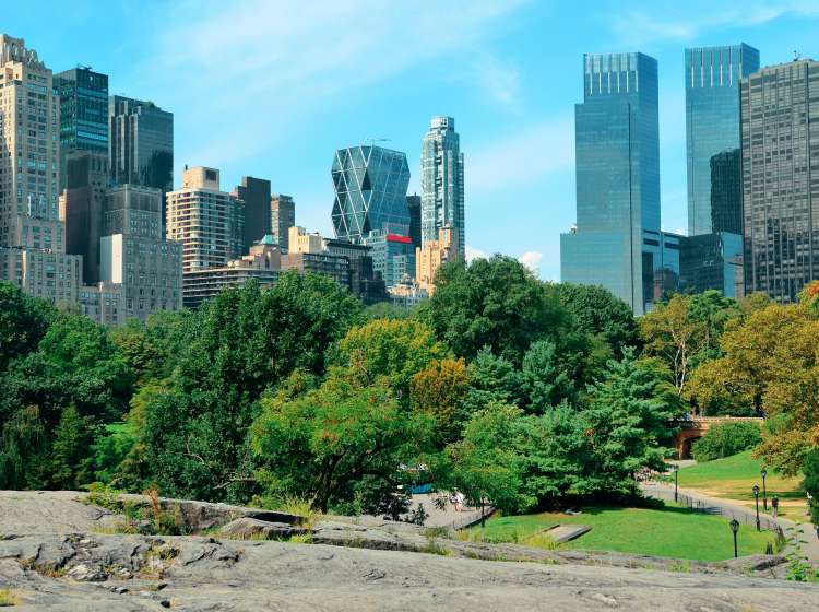 Central Park in New York