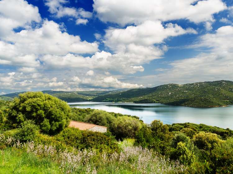 Liscia Lake, Luras, Sardinia, Italy; Shutterstock ID 704482963; Purchase Order: -