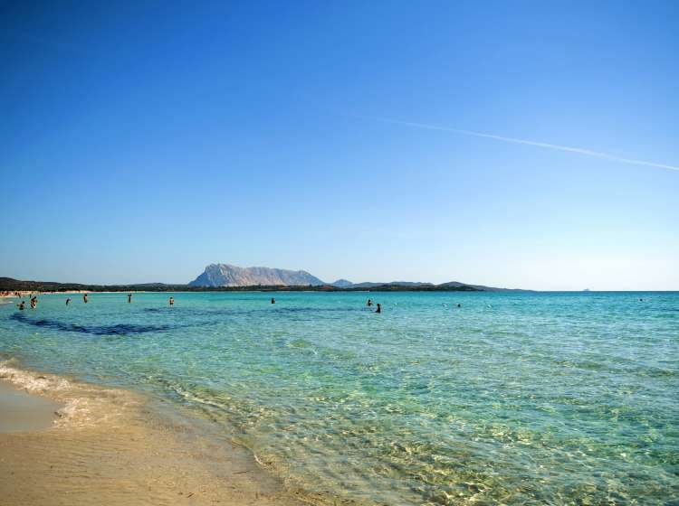 landscape of the beautiful La Cinta beach with crystal clear water in San Teodoro in the province of Sassari in Sardinia Italy; Shutterstock ID 1013381380