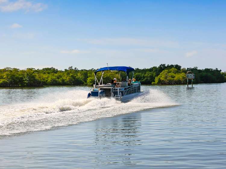 Naples, FL, USA - March 16, 2016: People enjoying a day out in a Pontoon boat in Haldeman Creek in Naples, Florida