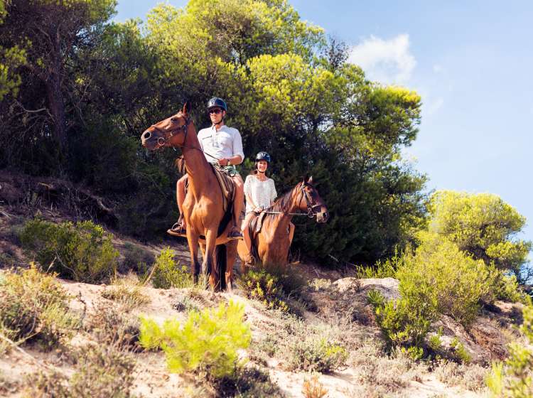 Young Tourist Couple Horseback Riding; Shutterstock ID 555469093