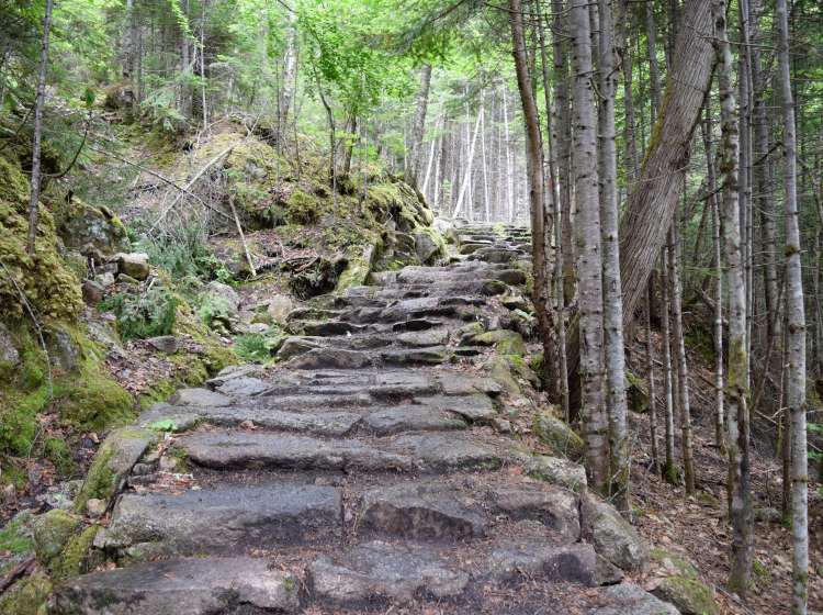 Forest stone stairs in Fjord  du Saguenay National Park, Quebec, Canada; Shutterstock ID 699433264; Invoice Number: -