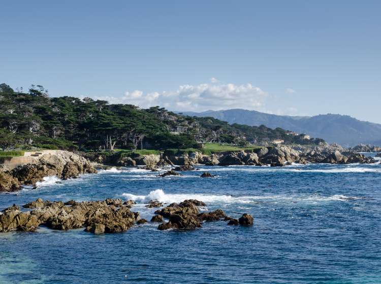 Coastline along the 17 Mile Drive in Pebble Beach of  Monterey Peninsula. USA. California. Large waves coming to rocks.; Shutterstock ID 491901568; Invoice Number: -