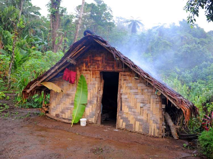 Hut in the Rainforest of Espiritu Santo, Vanuatu; Shutterstock ID 85871203; Invoice Number: -