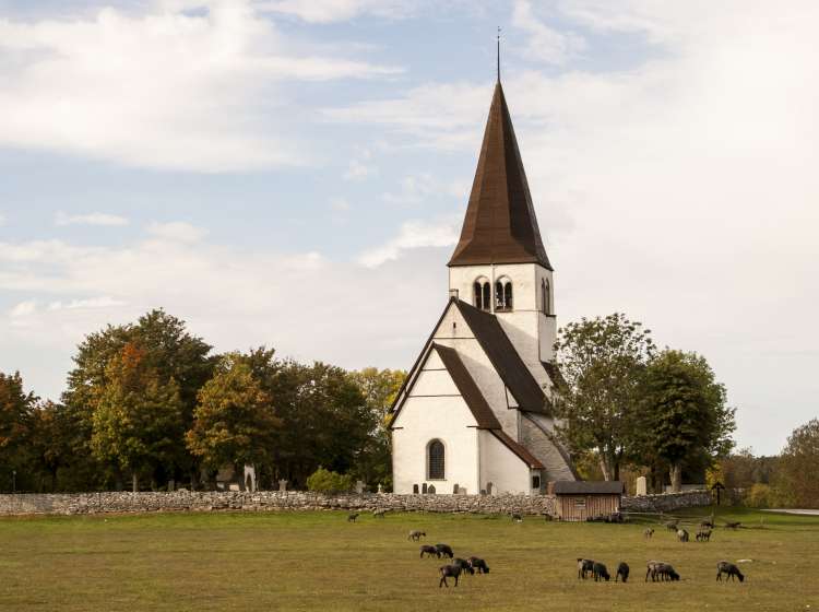 old chruch on the Swedish countryside in Gotland with sheep grazing; Shutterstock ID 667217785; Invoice Number: -