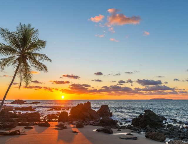 Silhouette of a palm tree and a sand beach inside Corcovado National Park with a view over the Pacific Ocean at sunset, Osa Peninsula, Costa Rica, Central America.; Shutterstock ID 1044485158; Invoice Number: -