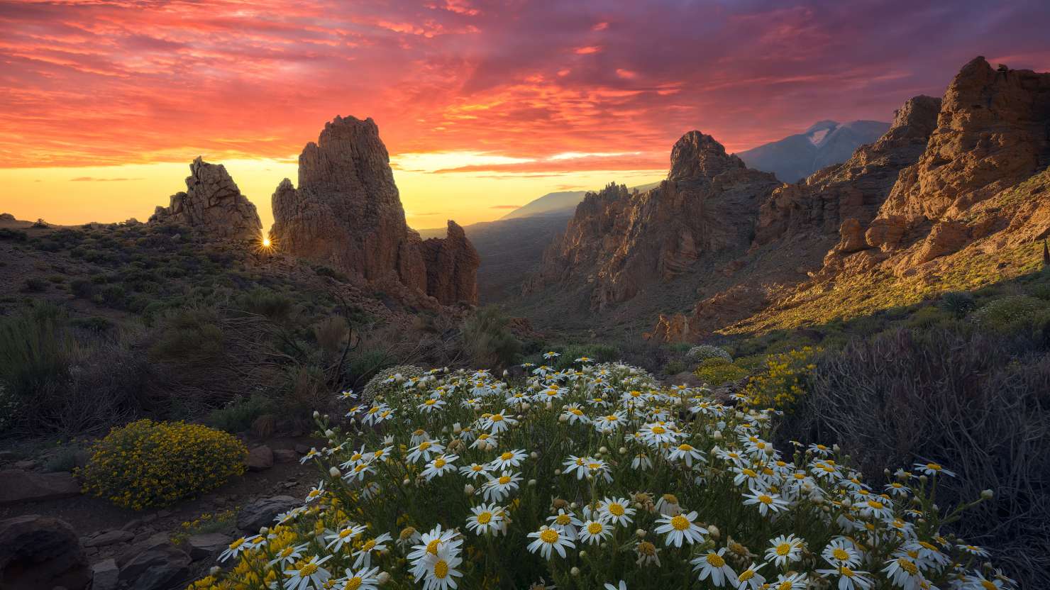 Teide National Park, Tenerife