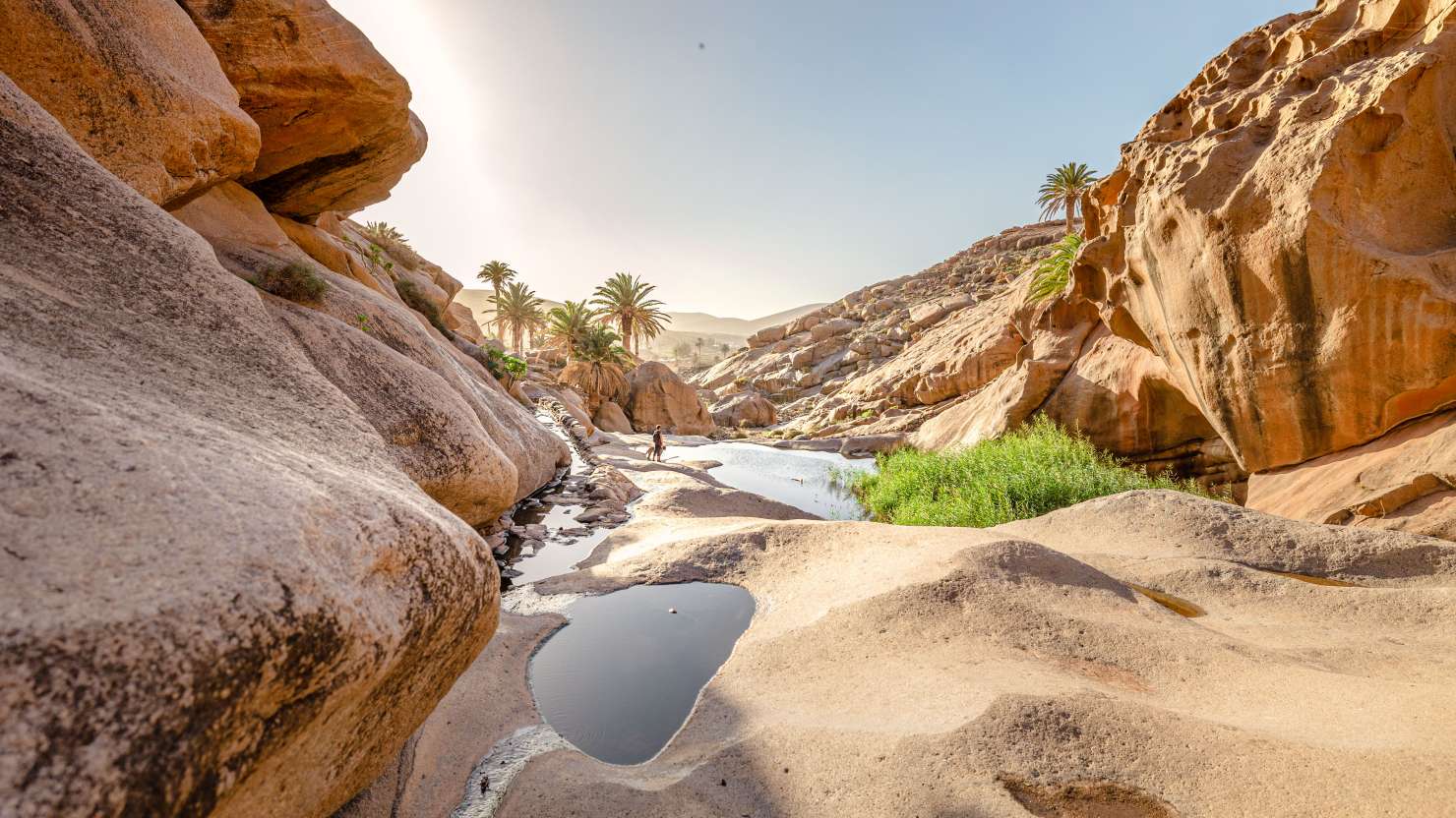 Fuerteventura