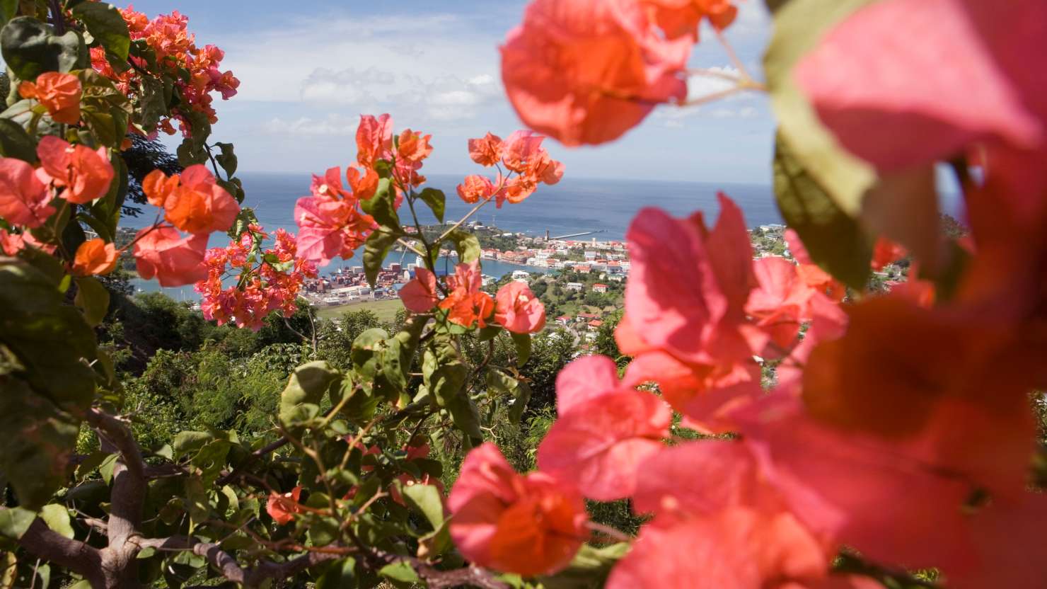 St George's, St George, Grenada, Caribbean