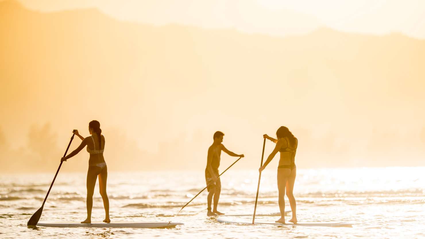 Group of young adult friends at the beach with stand up paddleboards in a tropical climate like Hawaii, Fiji, Tahiti, or the Carribean