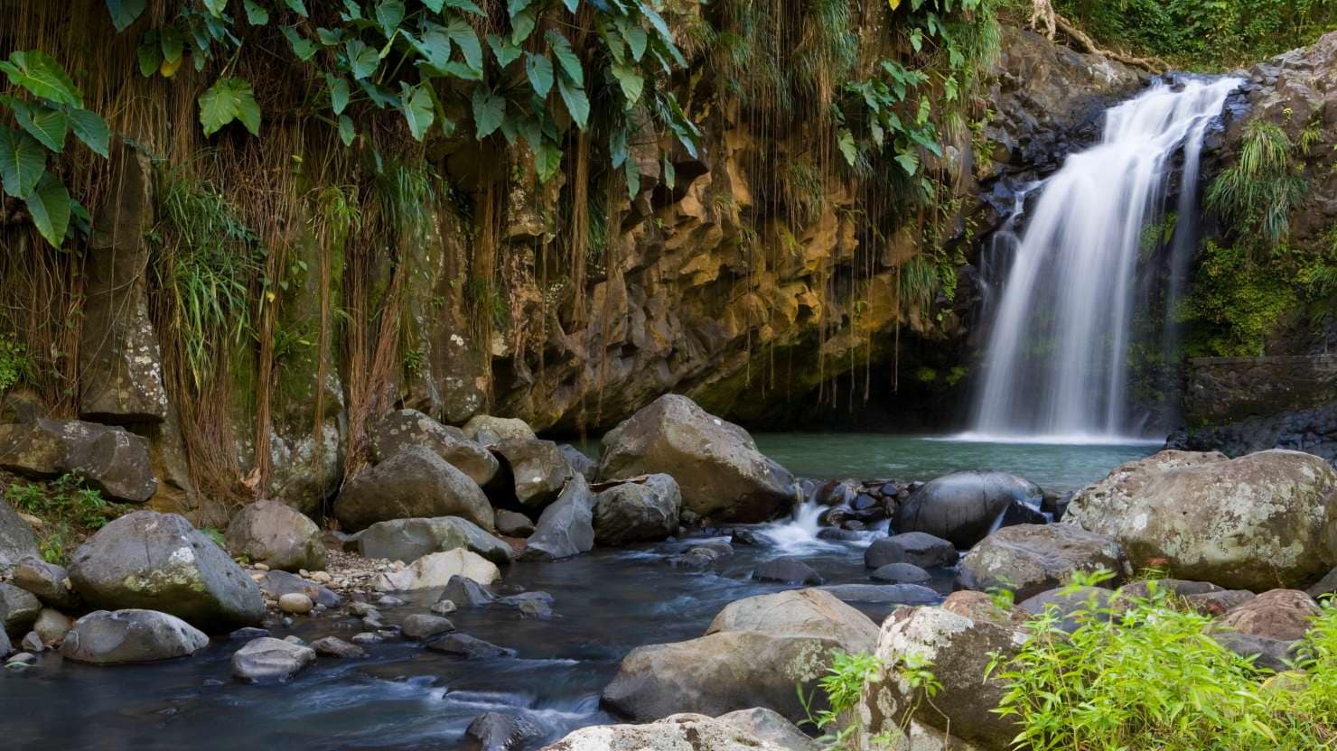 Central America & the Caribbean, Grenada, St George, Constantine