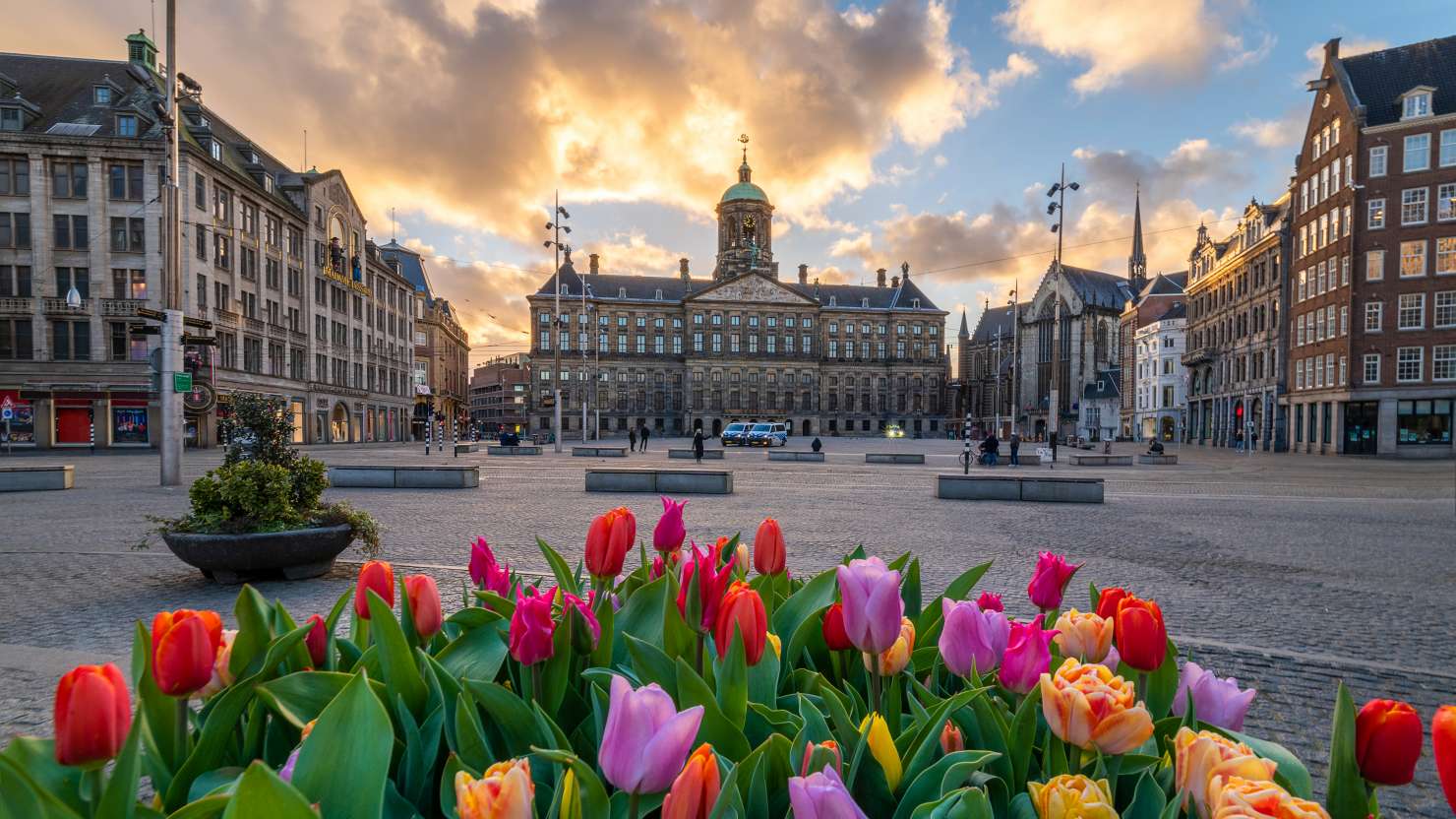 This is a photo of colorful tulips in Dam square of Amsterdam. In the background the building standing out is the Royal Palace.