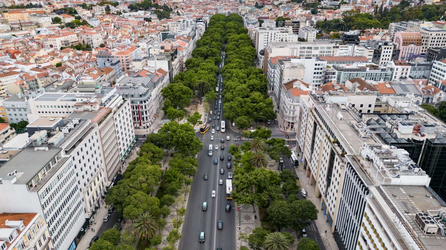 Avenida da Liberdade, Lisbon