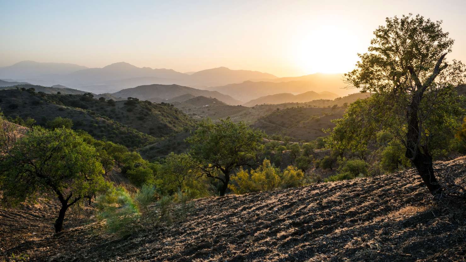 Beautiful Andalusian landscape