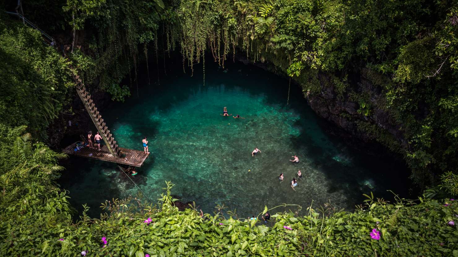 The To Sua ocean trench is a swimmerâs delight, set on the edge of a tropical paradise with the South Pacific lapping at its shores. Surrounded by lush gardens, visitors wind along cliffside paths to the natural salt water pool sunken deep into the earth.

The western side of the ocean trench opens onto a small, sandy beach only accessible through a cave-like nook. Sheer rock faces of volcanic basalt disappear underfoot, leaving an epic ladder as the sole access point to the water below.