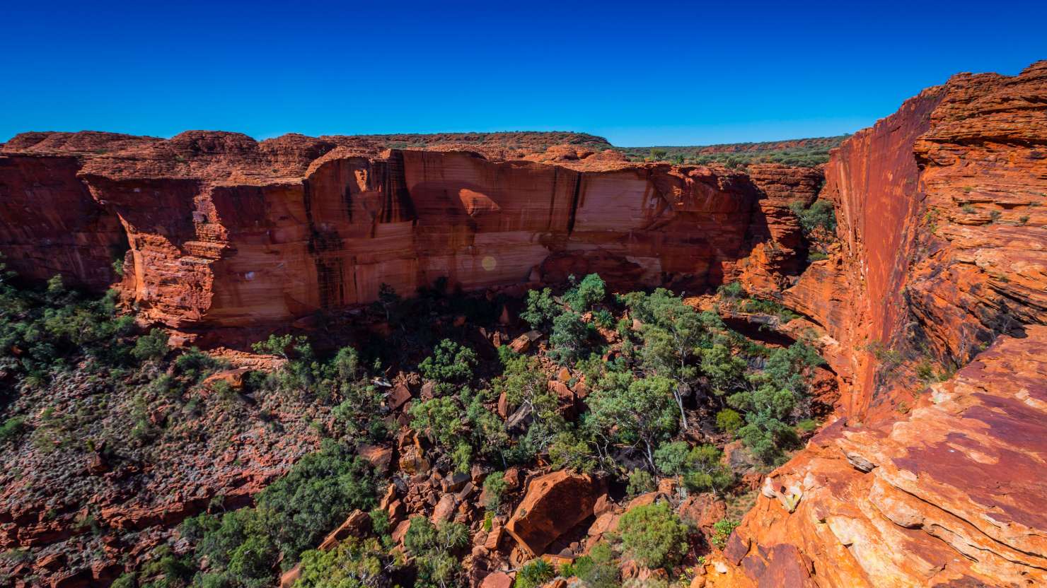 Australia outback landscape with blue sky.