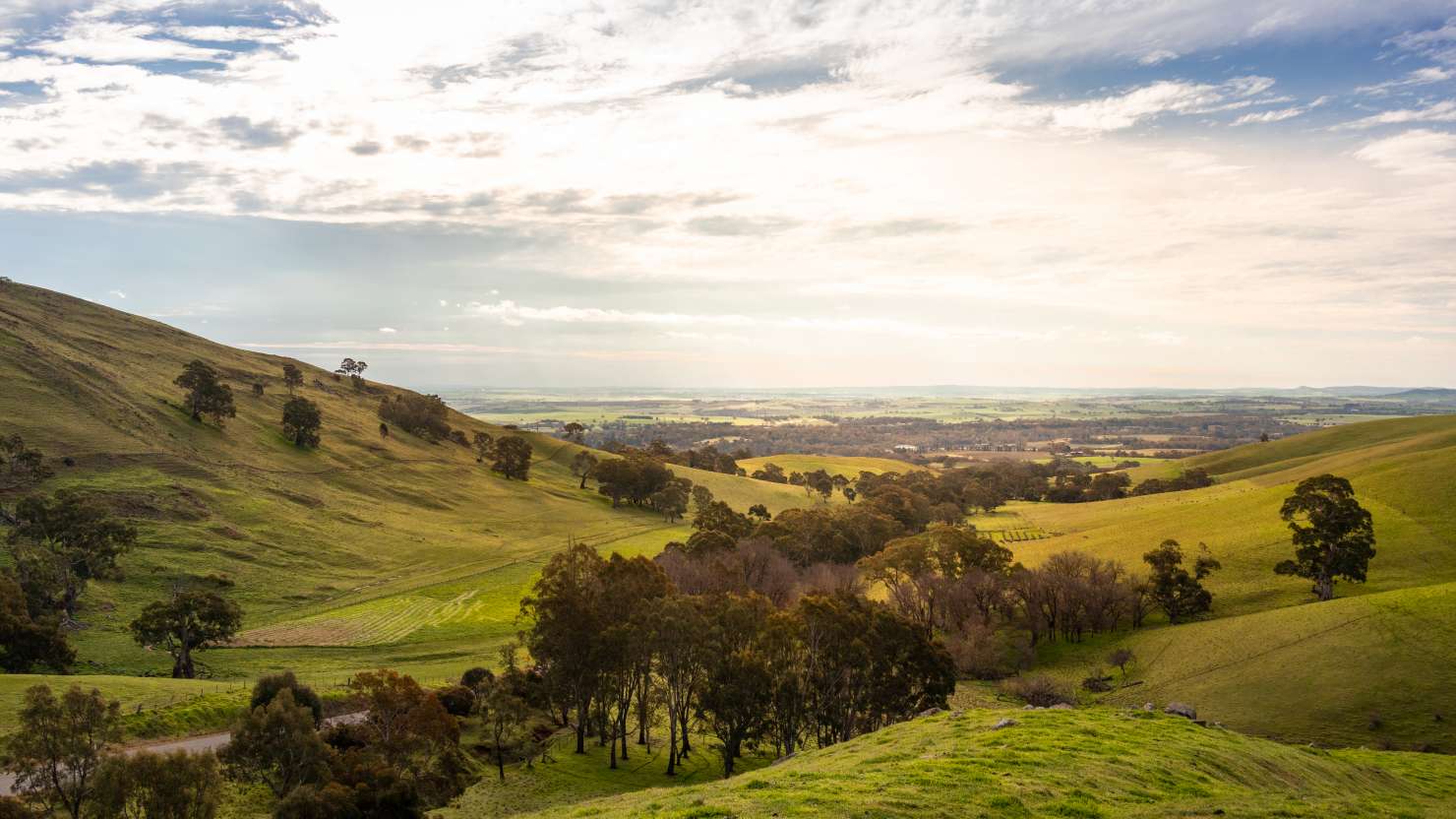 Barossa valley, South Australia