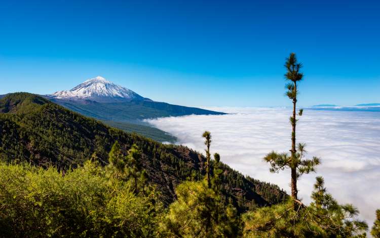 Mount Teide and Teide National Park, Tenerife, Canary Islands, Spain.