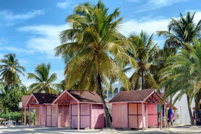 Pink beach husts near lush palm trees in beautiful Antigua island, in the Caribbean