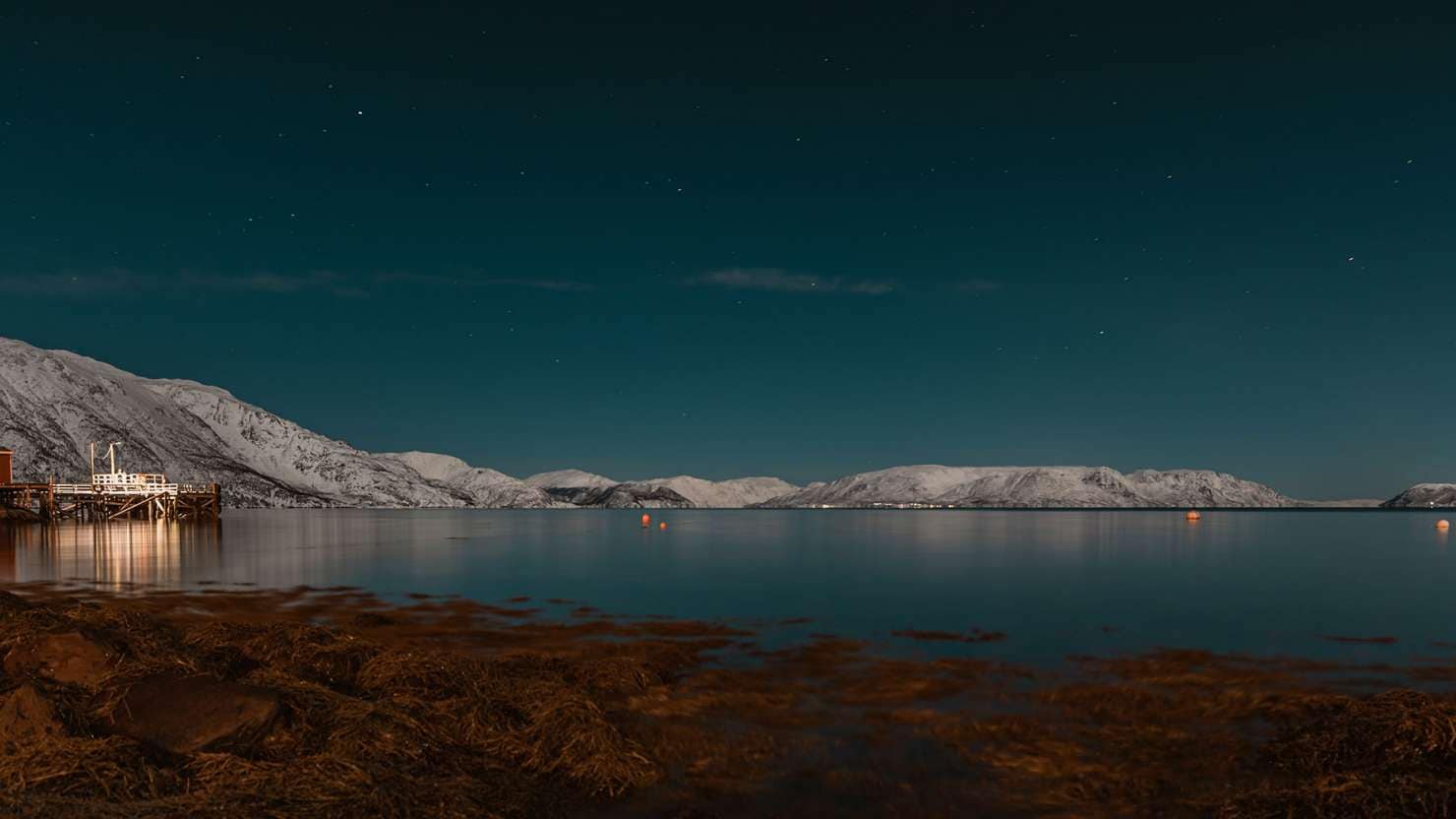 A scenery of Northern lights over the ocean in Alta