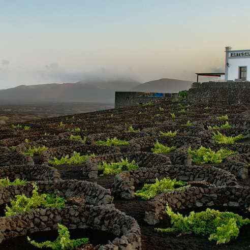 Tales of the unexpected: Lanzarote