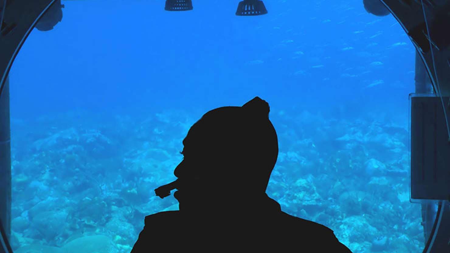 Man looking out of the window in Atlantis Submarine in Barbados